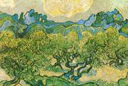 Vincent Van Gogh Olive Trees with the Alpilles in the Background painting